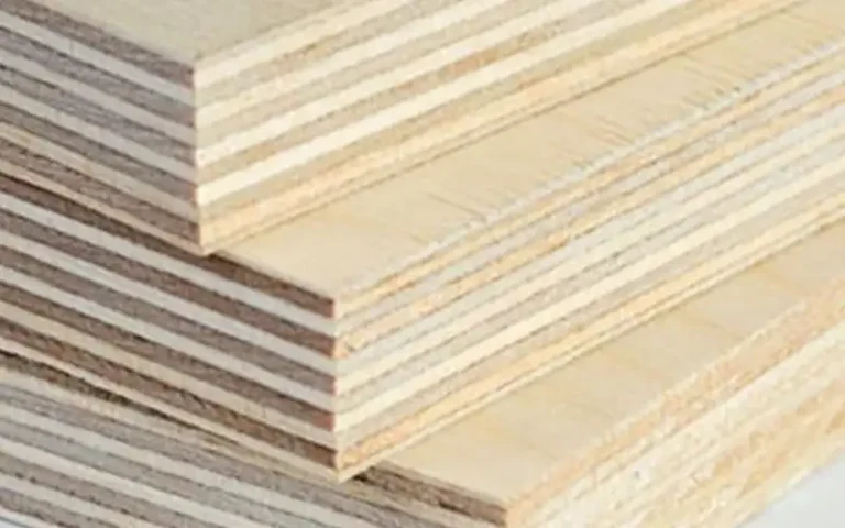 Softwood plywood